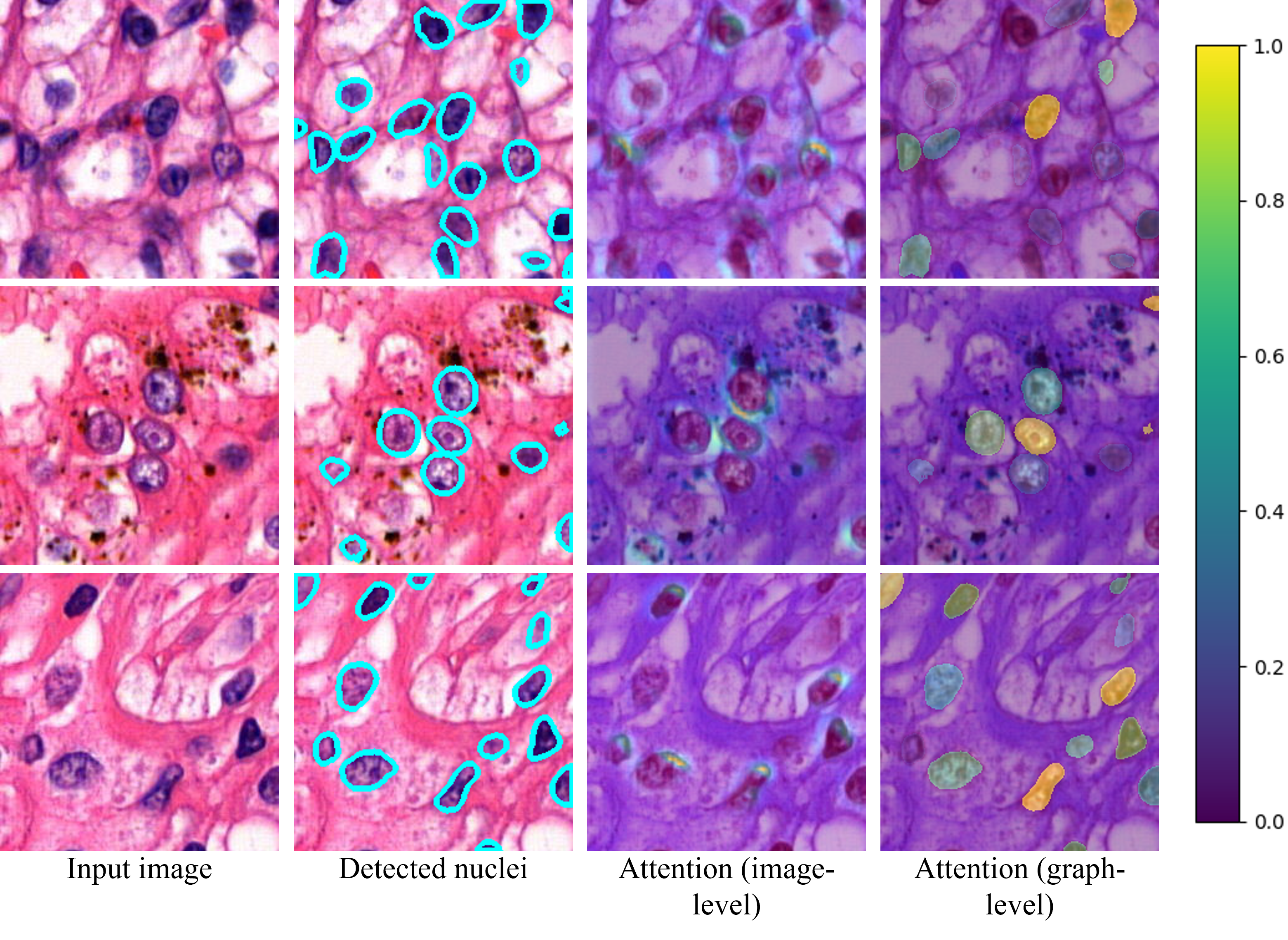 visualization 1